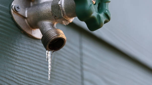 Best Leak Detection Services  in Fair Haven, NY